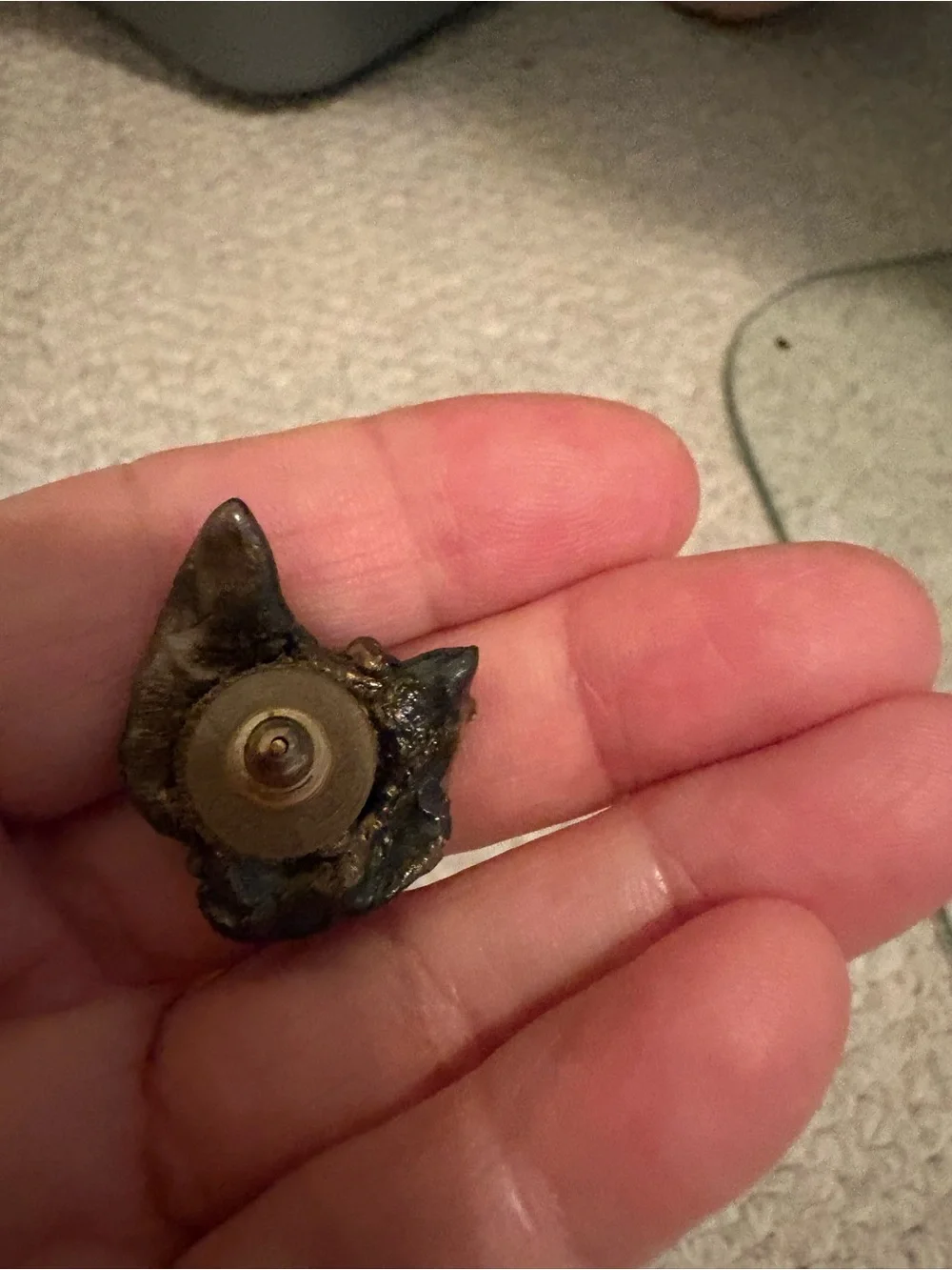 Small Dark Brown Shark/Animal Tooth Charm metal